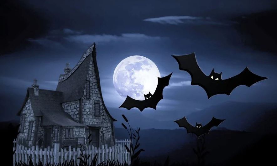 20 symbolic meanings of dreaming of bats