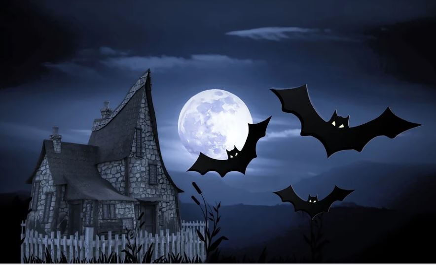 20 symbolic meanings of dreaming of bats