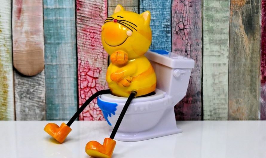 13 symbolic meanings of dreaming of defecating in the bathroom
