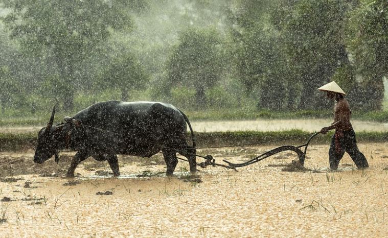 10 symbolic meanings of dreaming about a farm