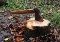 14 symbolic meanings of dreaming of axes