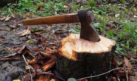 14 symbolic meanings of dreaming of axes