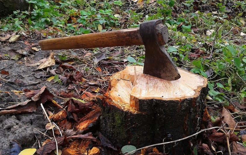 14 symbolic meanings of dreaming of axes