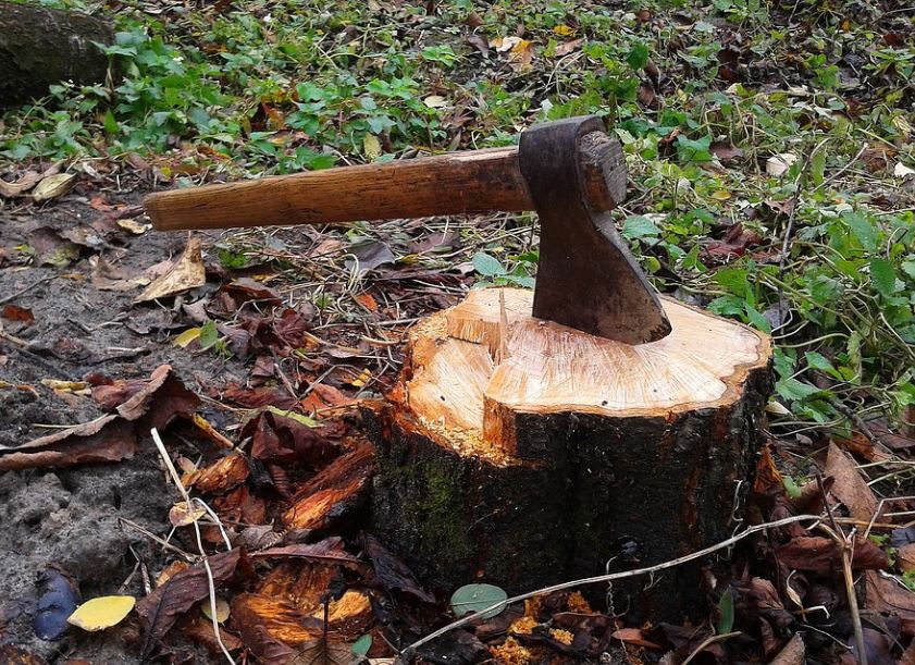 14 symbolic meanings of dreaming of axes