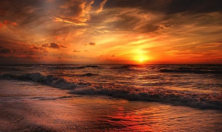 Dreaming of Sunset