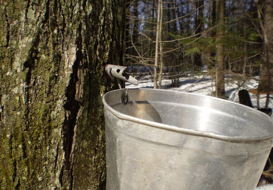 dreaming of a bucket