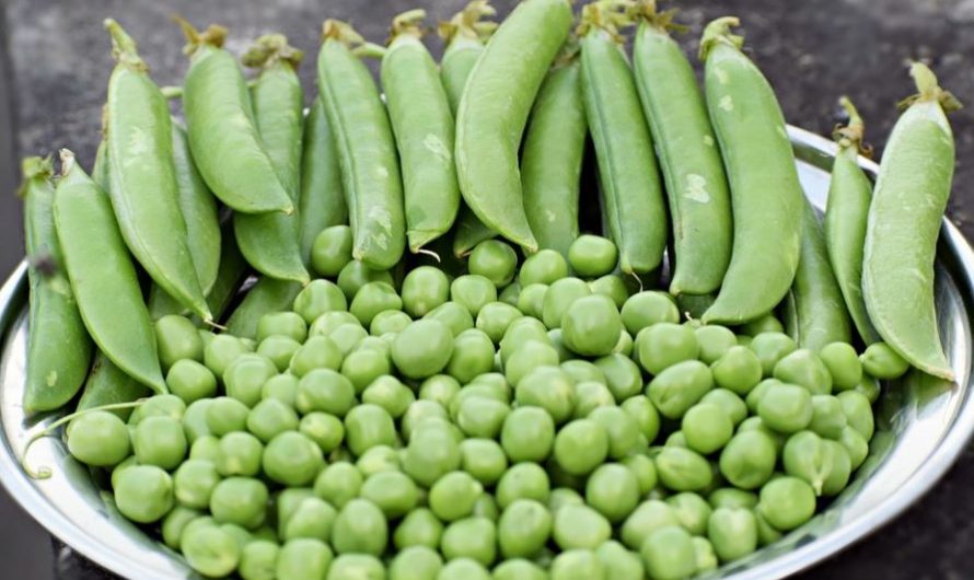 10 symbolic meanings of dreaming of peas