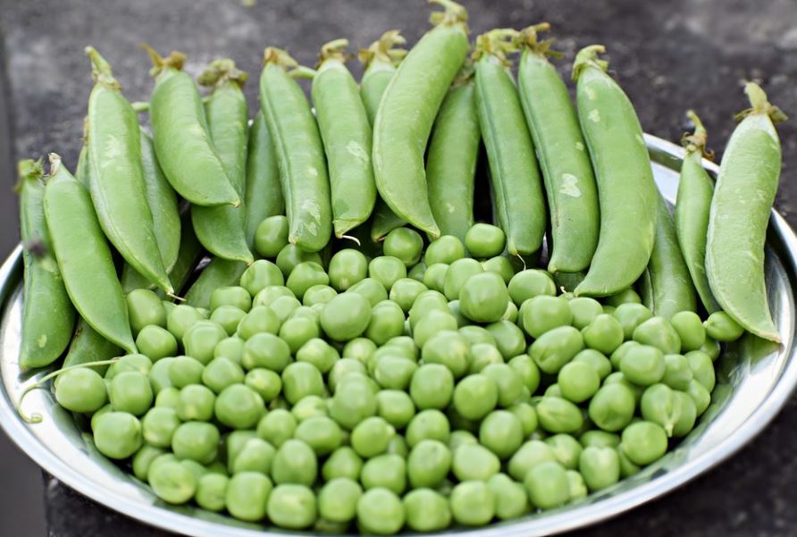 dreaming of peas