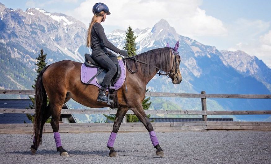 10 Symbolic Meanings of Dreaming of Riding a Horse