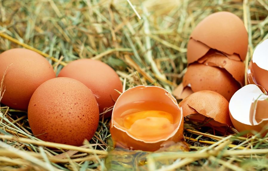 dreaming of eggshells