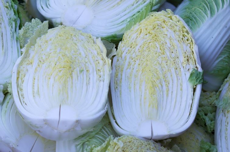 14 symbolic meanings of dreaming of cabbage