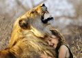 Dreaming of a Lion