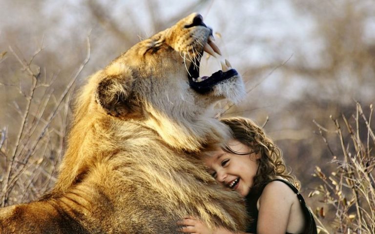 10 Symbolic Meanings of Dreaming of a Lion – Dream Psychological