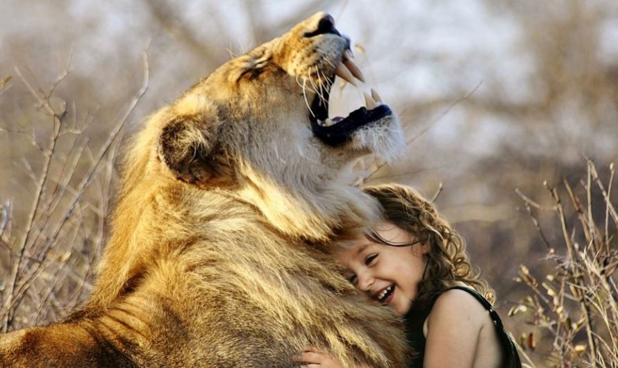 10 Symbolic Meanings of Dreaming of a Lion