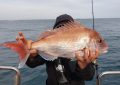 7 symbolic meanings of dreaming of snapper