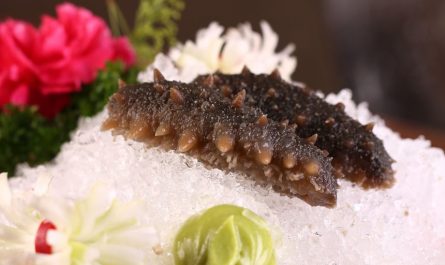 7 symbolic meanings of dreaming of sea cucumbers
