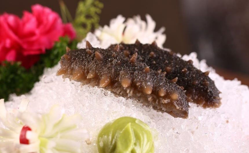 7 symbolic meanings of dreaming of sea cucumbers