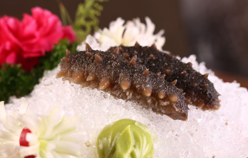 7 symbolic meanings of dreaming of sea cucumbers