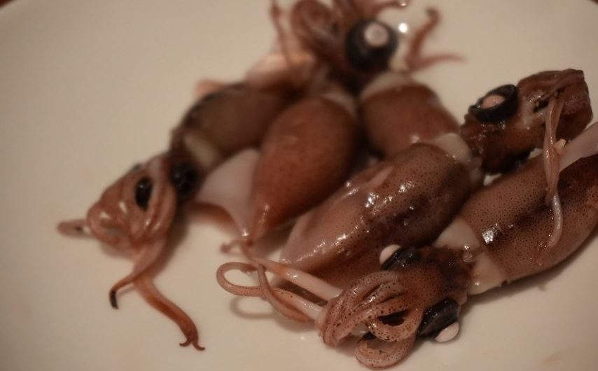 5 symbolic meanings of dreaming of squid