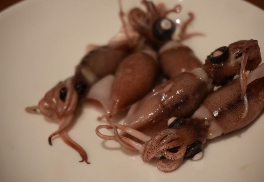 5 symbolic meanings of dreaming of squid