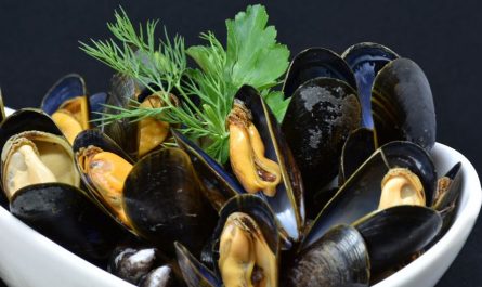 7 symbolic meanings of dreaming of mussels