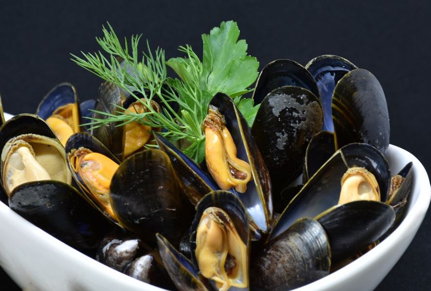 7 symbolic meanings of dreaming of mussels