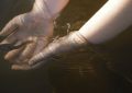 9 symbolic meanings of dreaming of tadpoles