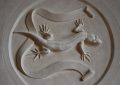 7 symbolic meanings of dreaming of salamanders