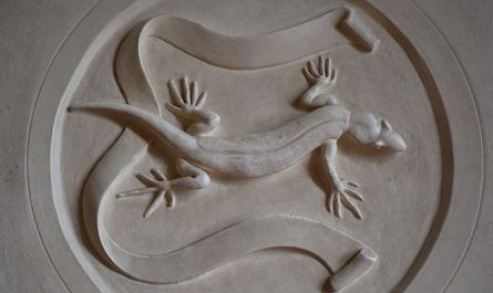 7 symbolic meanings of dreaming of salamanders