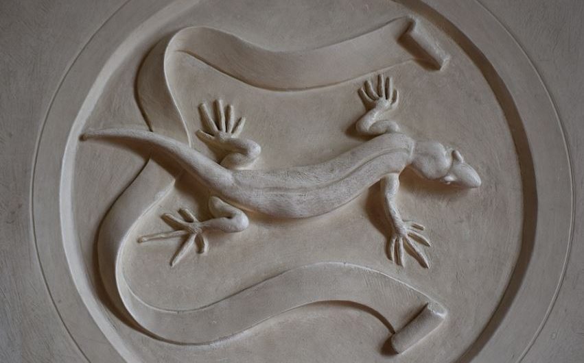 7 symbolic meanings of dreaming of salamanders
