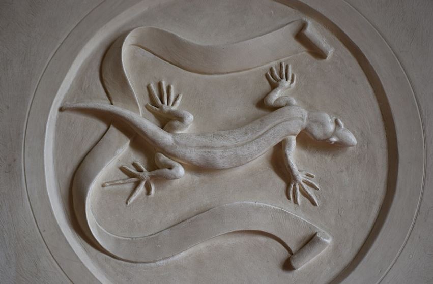 7 symbolic meanings of dreaming of salamanders
