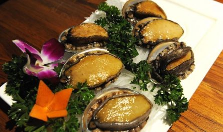 8 symbolic meanings of dreaming of abalone