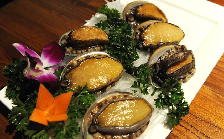 8 symbolic meanings of dreaming of abalone