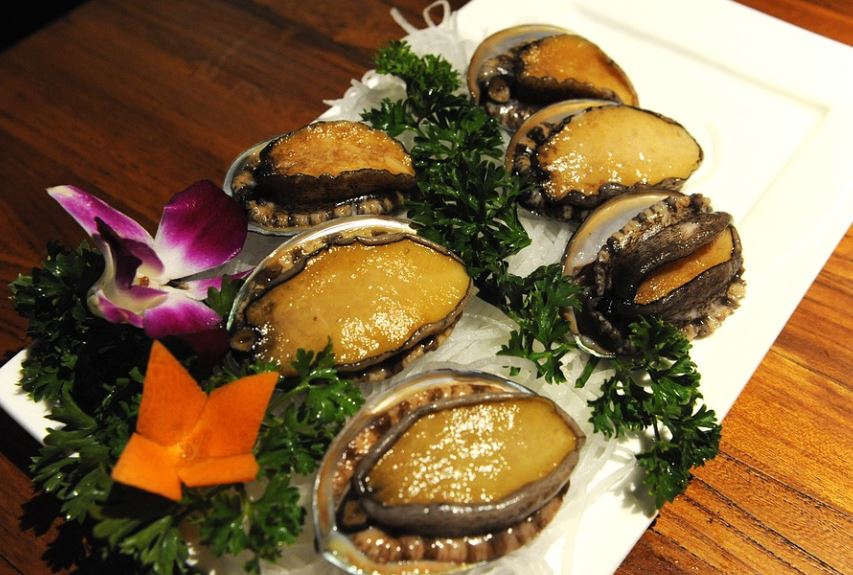 8 symbolic meanings of dreaming of abalone