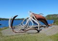 8 symbolic meanings of dreaming of giant squid