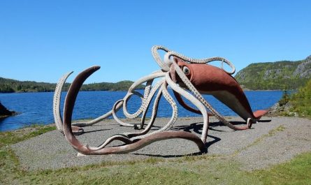 8 symbolic meanings of dreaming of giant squid