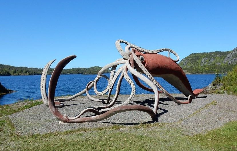 8 symbolic meanings of dreaming of giant squid