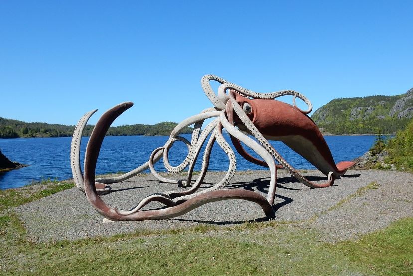 8 symbolic meanings of dreaming of giant squid