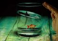 8 symbolic meanings of dreaming of crucian carp
