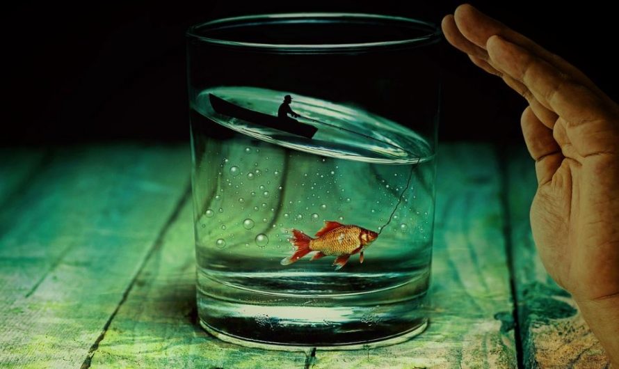 8 symbolic meanings of dreaming of crucian carp