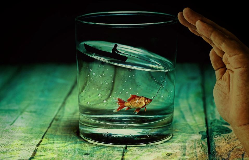 8 symbolic meanings of dreaming of crucian carp