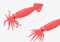 10 symbolic meanings of dreaming of squid