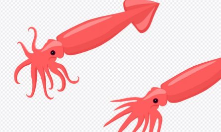 10 symbolic meanings of dreaming of squid