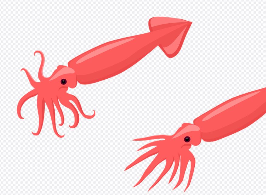 10 symbolic meanings of dreaming of squid