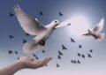 12 symbolic meanings of dreaming of pigeons