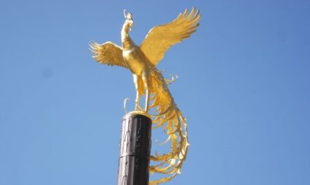 8 symbolic meanings of dreaming of a golden bird