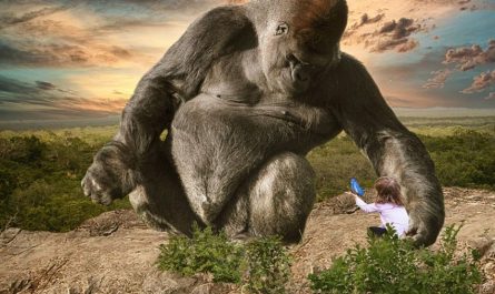 8 symbolic meanings of dreaming of King Kong