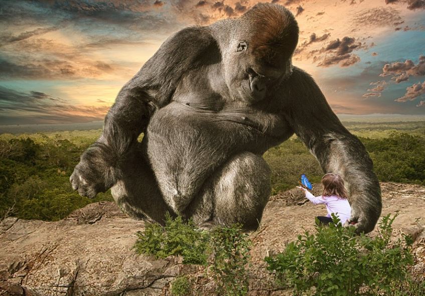 8 symbolic meanings of dreaming of King Kong