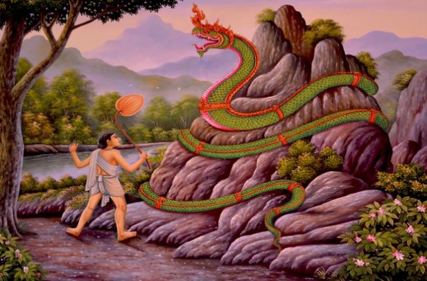 10 symbolic meanings of dreaming of poisonous snake
