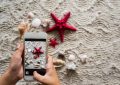 8 symbolic meanings of dreaming of starfish